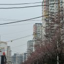 [도전2]소쇄원 26일 이미지