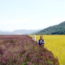 쇠똥구리마을 이미지