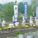 초록지기마을 이미지