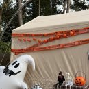 공단로70번길 R | 가평캠핑장 ‘선택적 고립’ B5 애견동반 장단점 후기