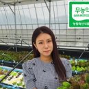 플로우팜