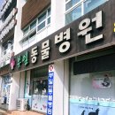 부일동물병원 이미지