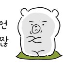 피자와 김밥천국 이미지