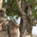 둥지식당 이미지