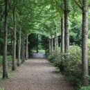 원대 수목원 이미지