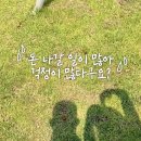 [온라인]온라인 수익화 시작 블로그 마케팅 | 남들처럼 살고싶어서 시작한 고정관념 가득했던 온라인수익화의 결말