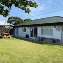 포포나무 민박 | [신혼여행] 제주도 숙소 연연풍진, 4박5일 푹 쉬다 왔습니다.