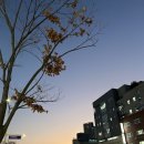 일진전자 | HUG 청년전용 버팀목 전세대출 받은 후기 (1년 미만 재직, 이직)