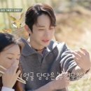 시고르