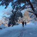 금산사길 이미지