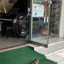 시청소년쉼터 | 5.18 기념 광주 당일치기