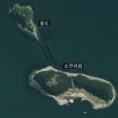 가꾸는동안배곧점 | 진해 소쿠리섬 백패킹 후기｜꽃사슴이 반겨주는 섬, 곧 사라질 풍경까지