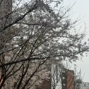 북경한의원 | 📝