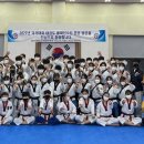 국가대표 태권도 이미지