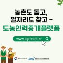 농촌 알바 이미지