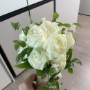 N137 이미지