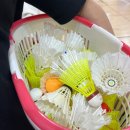 (주)씨디센터 | 11월 둘째 주 데이먼스이어 본 성덕된 달 행복했고 이번주도 무사히