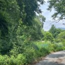 하늘로열린창 이미지