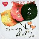 신기양파