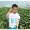 현식농장 이미지