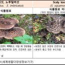 이레식품상사 이미지