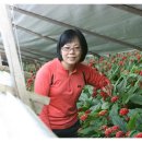 김선자 농장 이미지