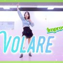 Volare | 볼라레 라인댄스 이미지