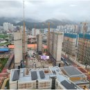 금나무 공인중개사사무소 이미지