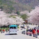 정훈렌트 이미지