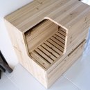 멍이냥이하우스 이미지