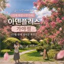 엠비씨경남노동조합 | [김해 배롱나무카페] 아덴플러스 가야점 7월 만개 실시간 후기! 대형 정원카페(26.7.25. 개화현황)