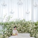 엘르메리 - 남양주시 마석중앙로37번길 45 | 수원 메리빌리아 웨딩홀 어두운홀 본식 드레스, 레이스 드레스 후기