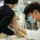 한림동물병원 이미지