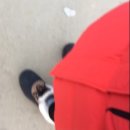 새샘태권도장 | 새샘태권도장 한국민속촌 체험학습 춥다..추워도 너무 춥다