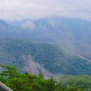 반달곰연탄구이 이미지