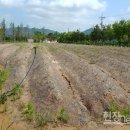 전라남도농업기술원 축산연구소 이미지