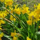 문화민박 이미지