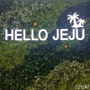 라 파로마 휴양펜션 | 무지개 해안도로/이호테우 해변/제주 돔베고기집/구엄리 돌염전/아르떼 뮤지엄 제주/라파로마 휴양펜션