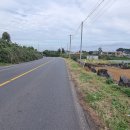 평화로(2) 이미지