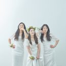 우정여관 이미지