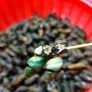 수산 마켓 이미지