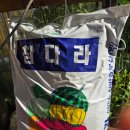 흥농농약종묘사 이미지