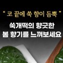 일등유통 이미지