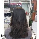 전국머리자랑 네이버블로그