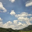 (주)송림투어