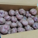 조미영농장 이미지