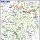 백양산임도(1) 이미지