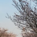 망원 담다