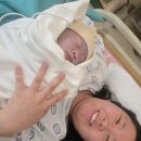 (주)스피드메이트수원센 | 수원 성빈센트병원 유도분만 후기 (무통없이 진통 8시간)