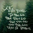 둥글둥글 이미지